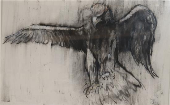 Mark Adlington, charcoal and chalk on paper, Study of an eagle, initialled and dated 02, 40 x 59cm